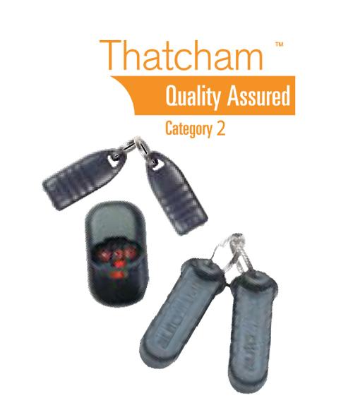 Thatcham Category 2